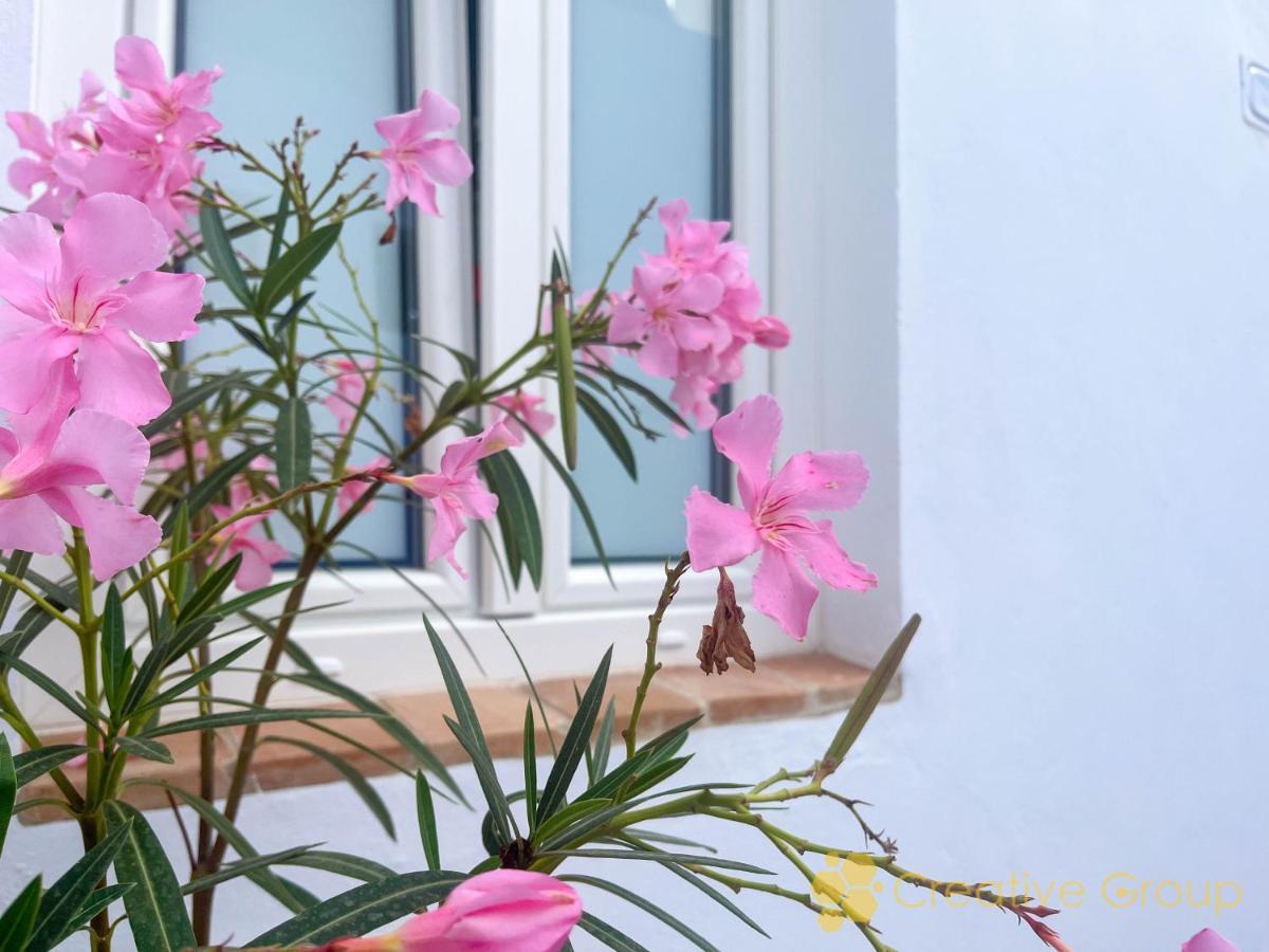 Apartamento Casa Arbonaida *